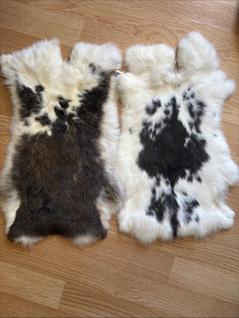 B0186 pair rabbit pelts